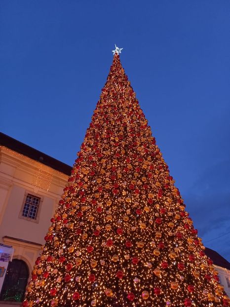  - Sibiu - Târgul de Craciun