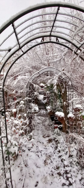  - 2023 - 04 - 2024 - 00 - Iarna