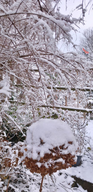  - 2023 - 04 - 2024 - 00 - Iarna