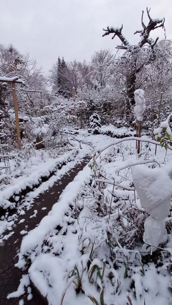  - 2023 - 04 - 2024 - 00 - Iarna