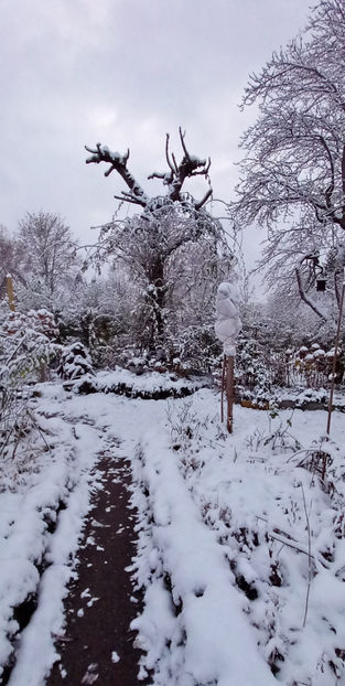  - 2023 - 04 - 2024 - 00 - Iarna