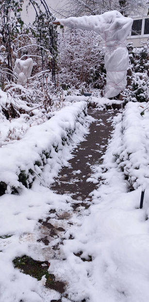  - 2023 - 04 - 2024 - 00 - Iarna