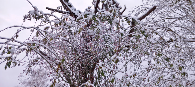  - 2023 - 04 - 2024 - 00 - Iarna