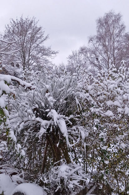  - 2023 - 04 - 2024 - 00 - Iarna