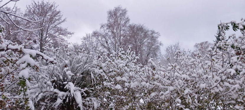  - 2023 - 04 - 2024 - 00 - Iarna