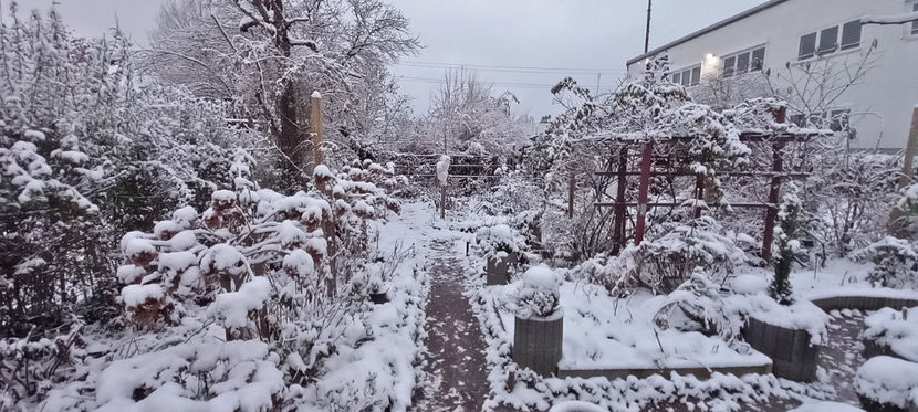  - 2023 - 04 - 2024 - 00 - Iarna