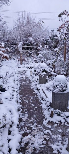  - 2023 - 04 - 2024 - 00 - Iarna