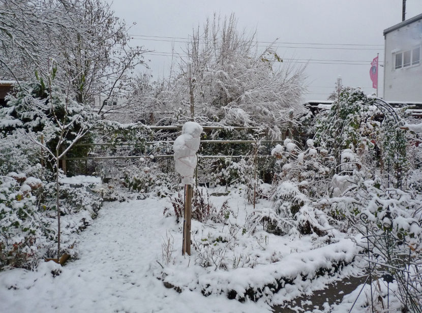  - 2023 - 04 - 2024 - 00 - Iarna