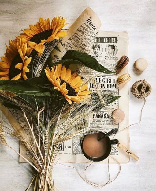  - Sunflower