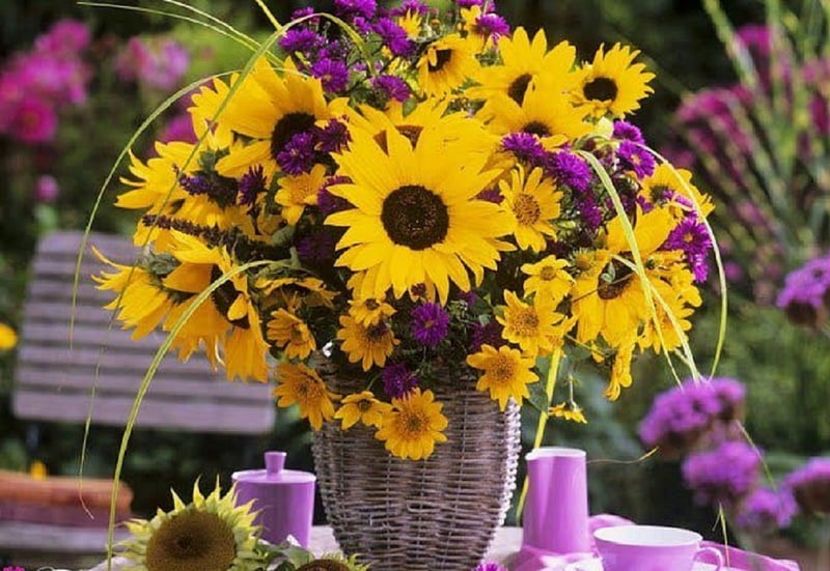  - Sunflower