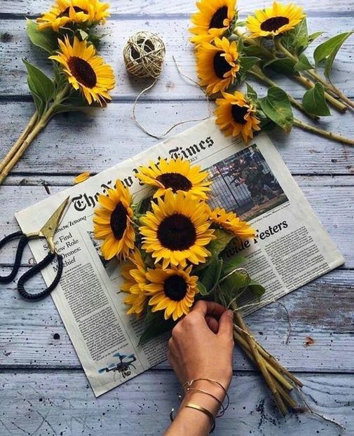  - Sunflower