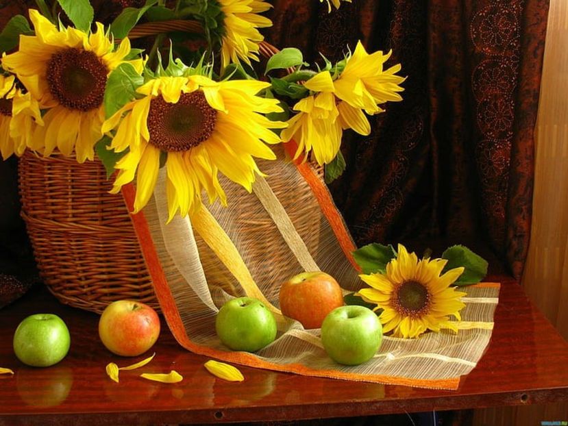  - Sunflower