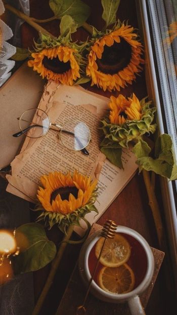  - Sunflower