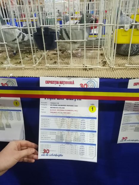  - 2023-decembrie-16-EXPOZITIE NATIONALA UCPR-BAICOI