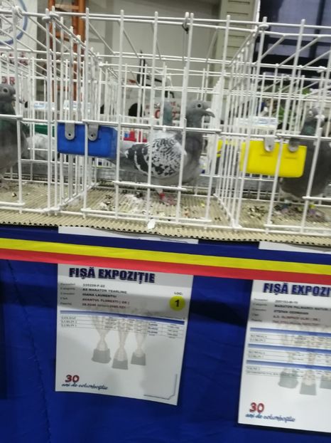  - 2023-decembrie-16-EXPOZITIE NATIONALA UCPR-BAICOI