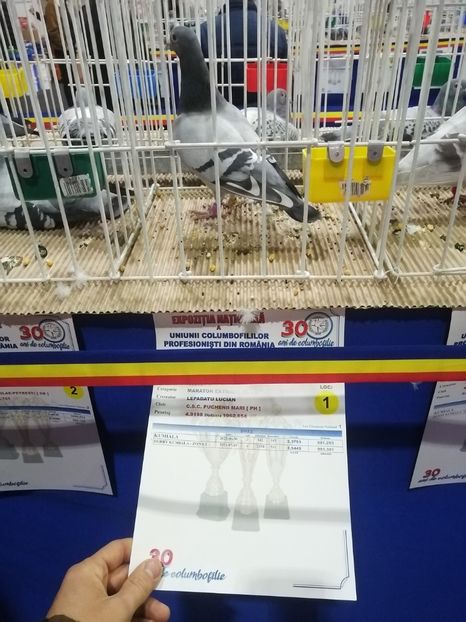  - 2023-decembrie-16-EXPOZITIE NATIONALA UCPR-BAICOI