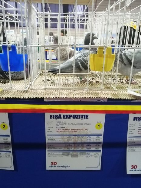  - 2023-decembrie-16-EXPOZITIE NATIONALA UCPR-BAICOI