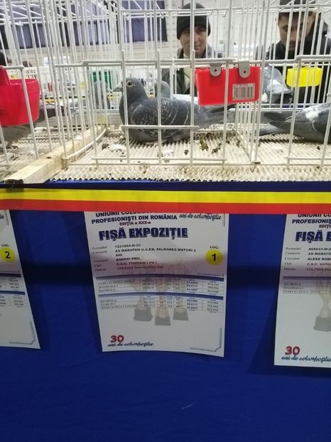  - 2023-decembrie-16-EXPOZITIE NATIONALA UCPR-BAICOI