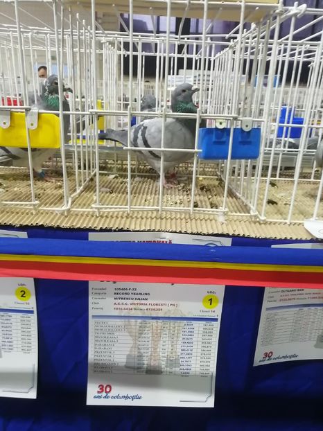  - 2023-decembrie-16-EXPOZITIE NATIONALA UCPR-BAICOI