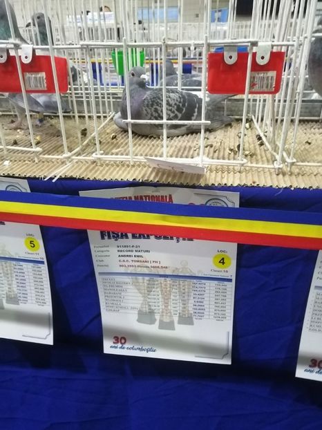  - 2023-decembrie-16-EXPOZITIE NATIONALA UCPR-BAICOI