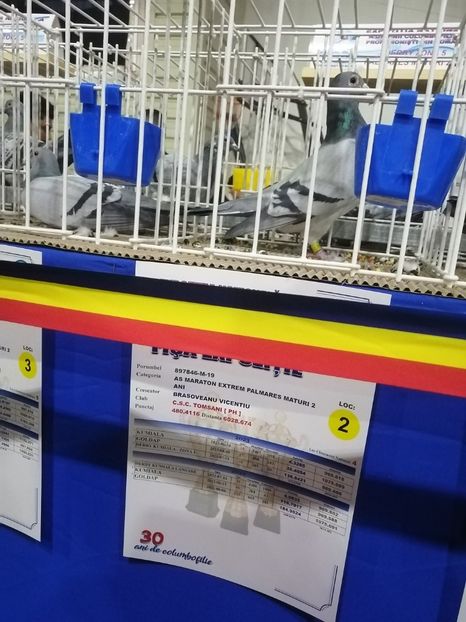  - 2023-decembrie-16-EXPOZITIE NATIONALA UCPR-BAICOI