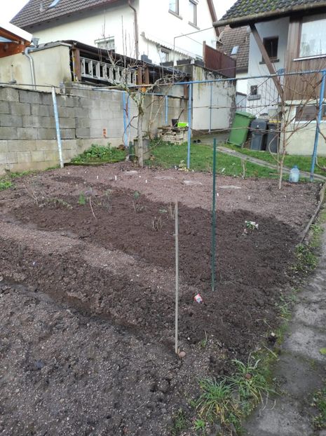 IMG-2023.12.18 - A doua grădină