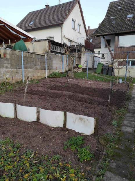 IMG-2023.12.18 - A doua grădină