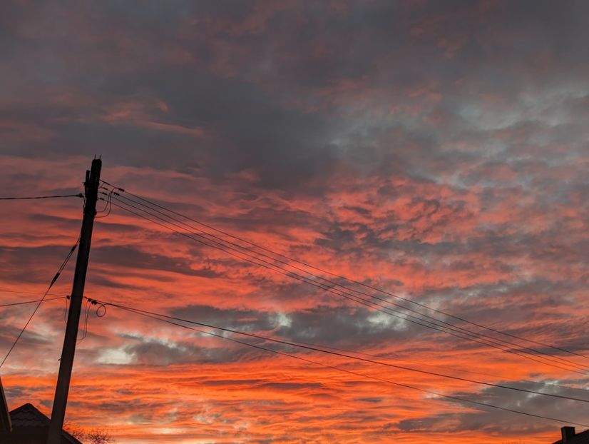  - Universul si Natura