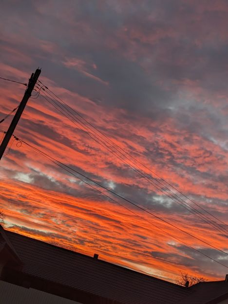  - Universul si Natura