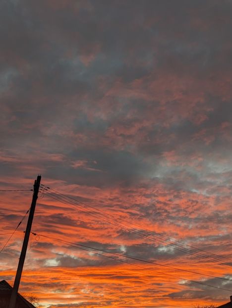  - Universul si Natura