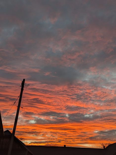  - Universul si Natura