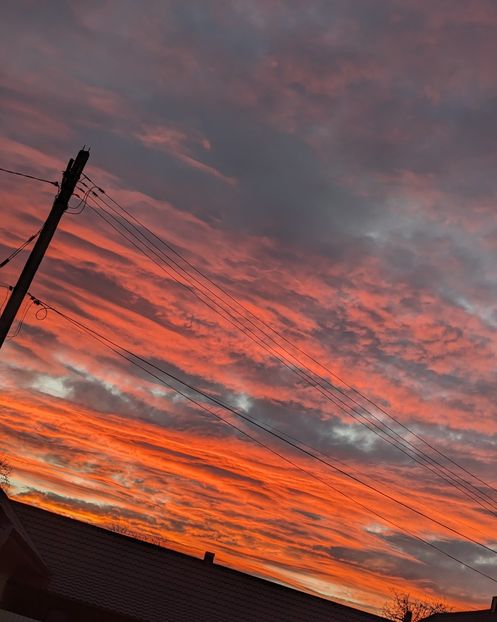  - Universul si Natura