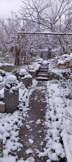  - 2023 - 04 - 2024 - 00 - Iarna