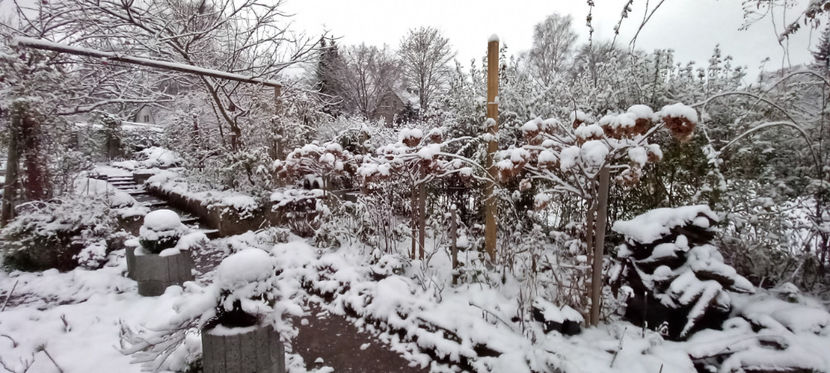  - 2023 - 04 - 2024 - 00 - Iarna