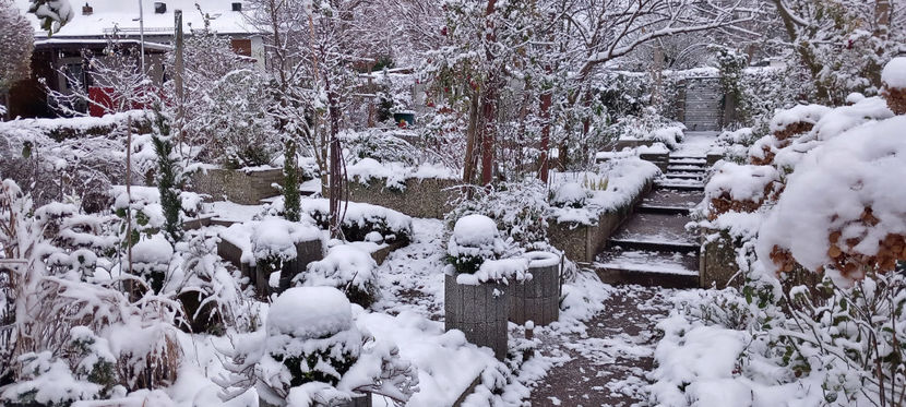  - 2023 - 04 - 2024 - 00 - Iarna