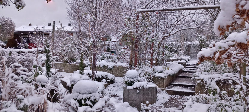  - 2023 - 04 - 2024 - 00 - Iarna