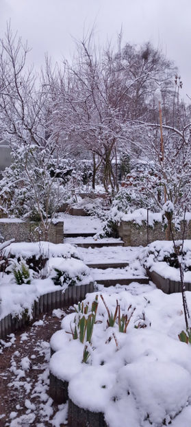  - 2023 - 04 - 2024 - 00 - Iarna