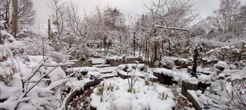  - 2023 - 04 - 2024 - 00 - Iarna