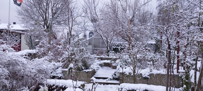  - 2023 - 04 - 2024 - 00 - Iarna