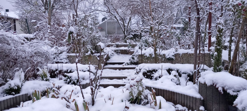  - 2023 - 04 - 2024 - 00 - Iarna