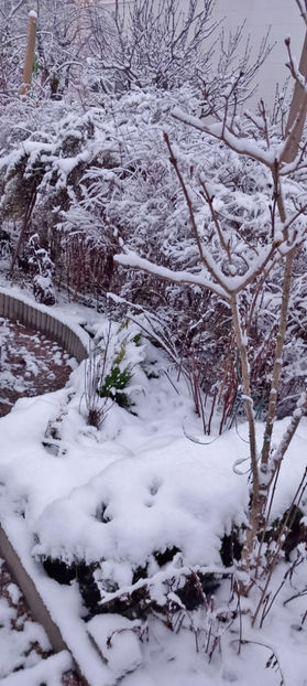  - 2023 - 04 - 2024 - 00 - Iarna