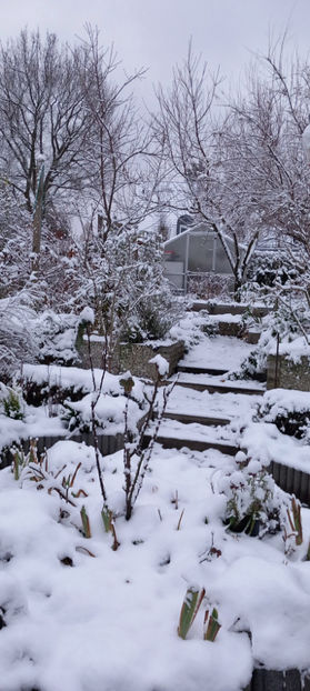  - 2023 - 04 - 2024 - 00 - Iarna