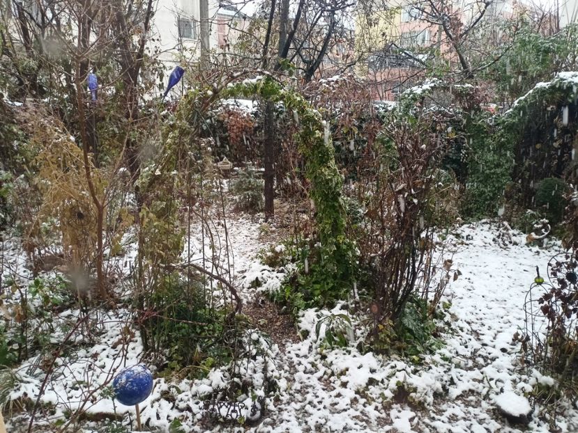 22.12.2023 - Grădina 2023 continuare 5