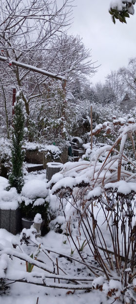  - 2023 - 04 - 2024 - 00 - Iarna