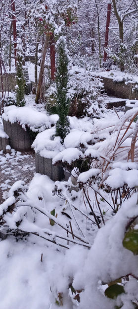  - 2023 - 04 - 2024 - 00 - Iarna