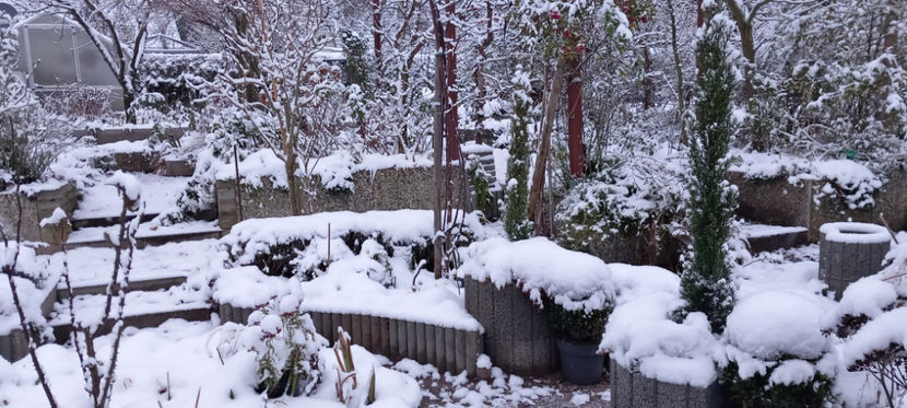  - 2023 - 04 - 2024 - 00 - Iarna