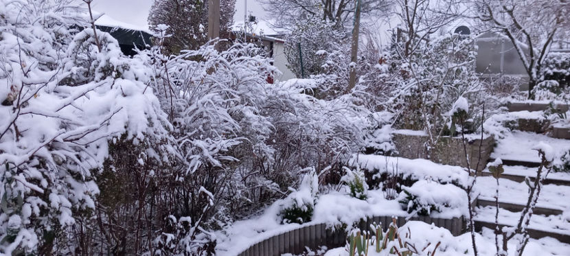  - 2023 - 04 - 2024 - 00 - Iarna