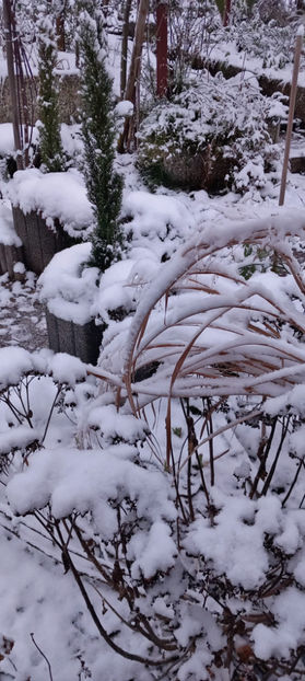  - 2023 - 04 - 2024 - 00 - Iarna