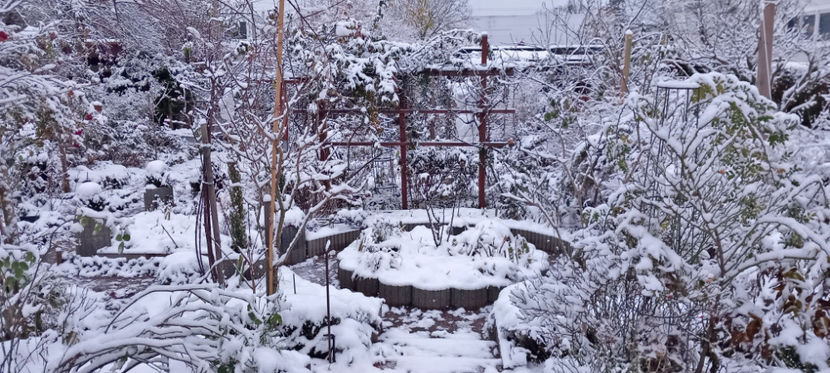  - 2023 - 04 - 2024 - 00 - Iarna