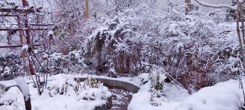  - 2023 - 04 - 2024 - 00 - Iarna